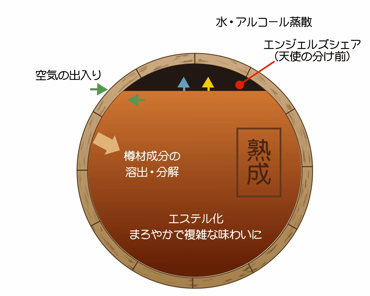 極上熟成フラスコ樽 – TARU HOLIC